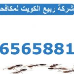 مكافحة حشرات النمل 66565881