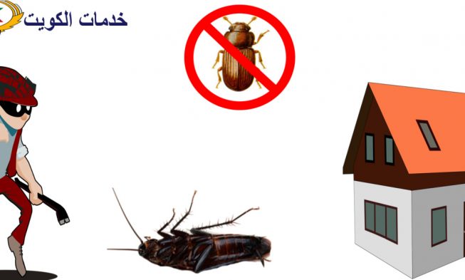 كيفية القضاء على الصراصير بمواد طبيعية ومركبات امنة