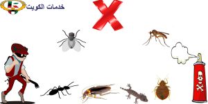 مكافحة حشرات مدينة جابر الأحمد