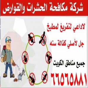 شركة مكافحة الصراصير